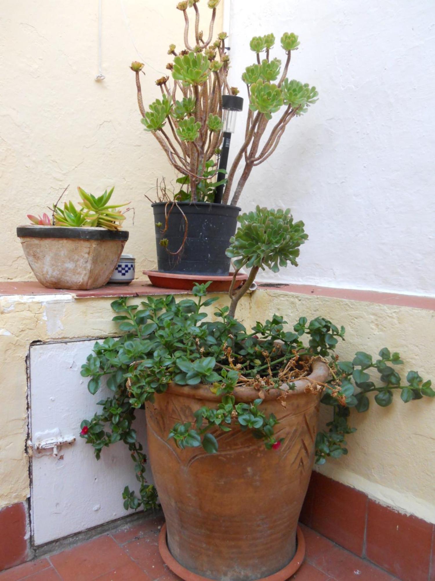 Naturalia: La Casita Con Patio Caces Exterior foto
